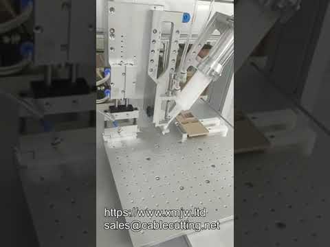 OEM 50ml AB-11-21 2液混合エポキシ樹脂自動ディスペンシングロボット - 吸引機能付き高精度接着剤塗布装置