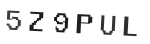 Verification Code Image